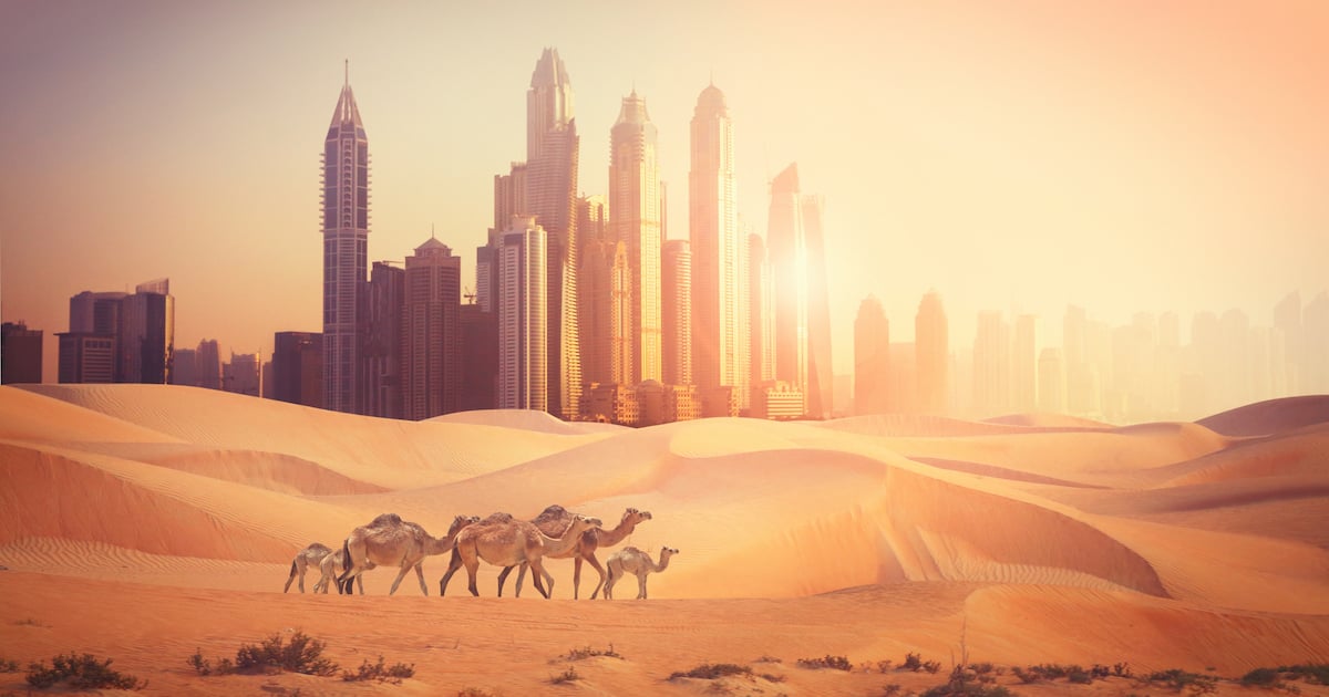 RoyalTourism Dubai Visa Hotel